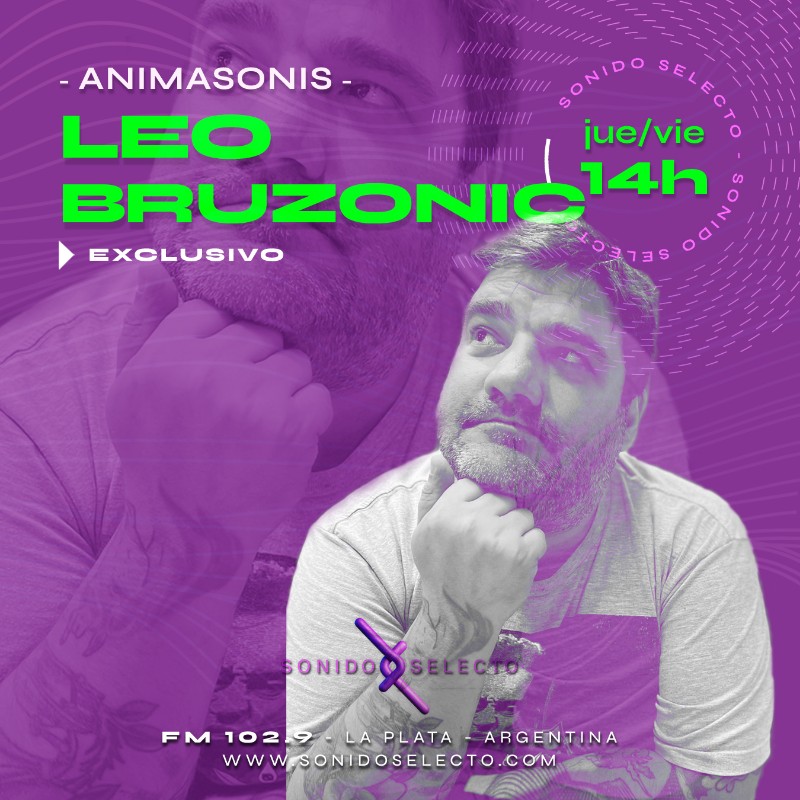 Animasonis By Leo Bruzonic